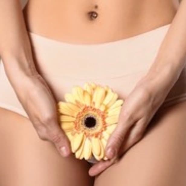 Brazilian Package (12) at Zinnia Waxing Studio in Wichita, KS